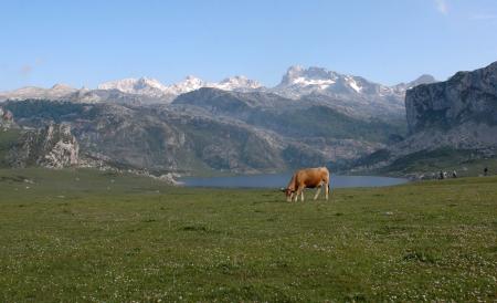 Lago Ercina